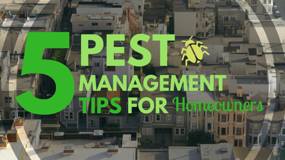 Pest Management Tips