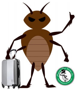 Bed Bug extermination Boca Raton, Palm Beach